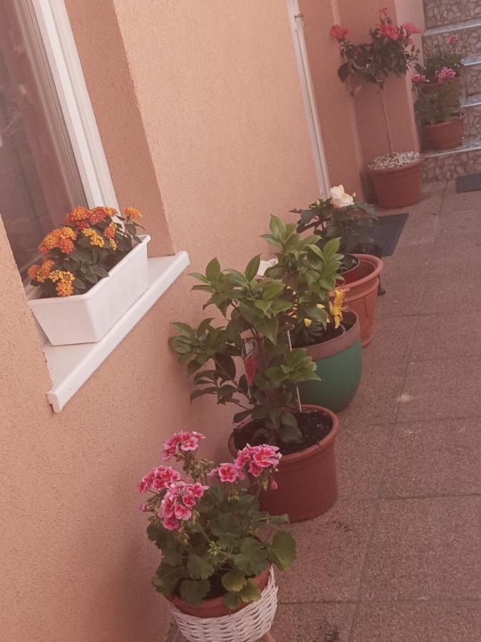 זלקרוס Erna Apartman מראה חיצוני תמונה